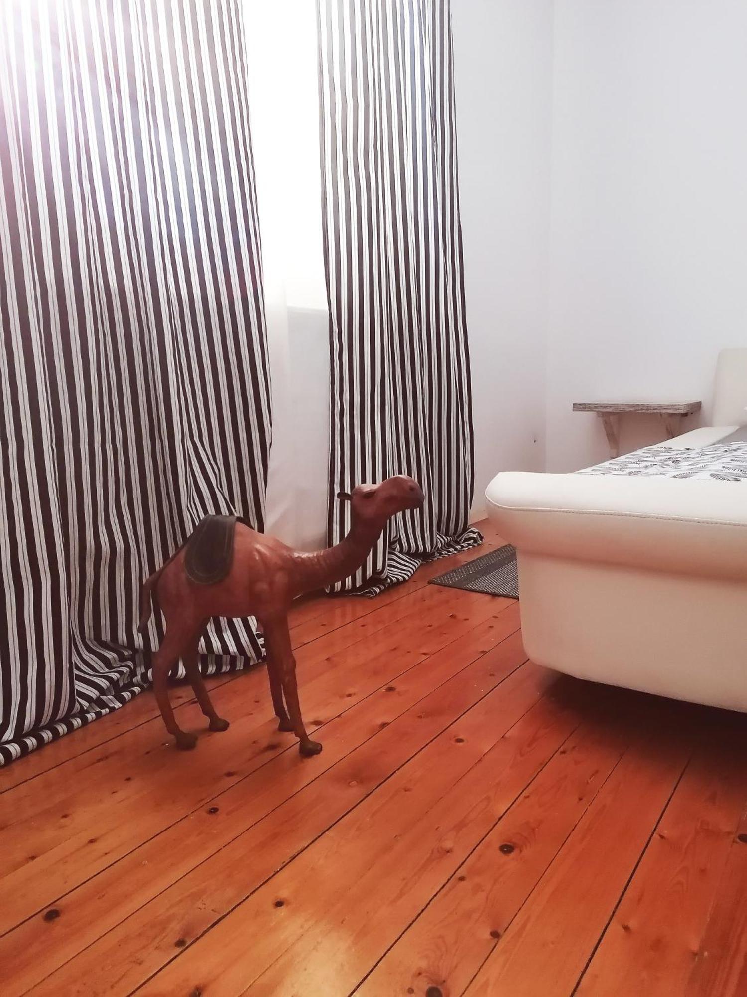 Apartman Centar Krusevac Luaran gambar